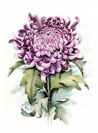 Pin On Watercolor