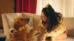 All The Songs You Ll Be Playing On Repeat In Your 2019 Workout Playlist Happier Lyrics Bastille Happy Music Video