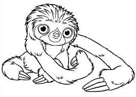 Read online books for free new release and bestseller Baby Sloth Coloring Page Color Luna