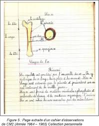 Pour les articles homonymes, voir cdt. Le Cahier De Sciences Au Cours Preparatoire De L Ecole Primaire En France Etude Exploratoire D Un Outil Pour Enseigner Et Apprendre Les Sciences Avec Des Eleves De 6 A 7 Ans
