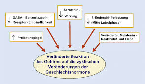 Pramenstruelles Syndrom Springerlink