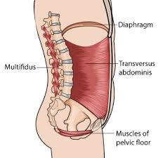 But you don't need to move them very much—or for very long—to challenge them. 3 Reasons Why You Have Tight Hamstrings Ov Chiropractic