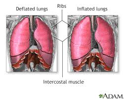 We did not find results for: Breathing Difficulty Lying Down Information Mount Sinai New York