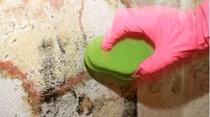 Gründe für schimmel in der wohnung schimmel kann immer dann entstehen, wenn luft mit hoher feuchtigkeit auf kalte oberflächen trifft. Schimmel In Der Wohnung Ursachen Und Rechte Von Mietern