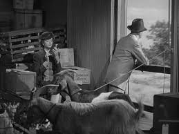 The thin man goes home is een film uit 1945 onder regie van richard thorpe. The Thin Man Goes Home 1944 Obscure Train Movies