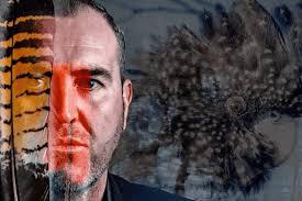 Cockatoos Victoria: Annual cockatoo count saves red-tailed black cockatoo  from extinction