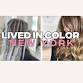 NY | LIVED IN HAIR & Content Creation