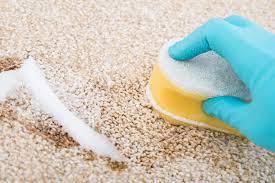 In any house with kids there is a good chance that someone will spill chocolate on your carpet.do you know ho. How To Remove Chocolate From Carpet Home Stratosphere
