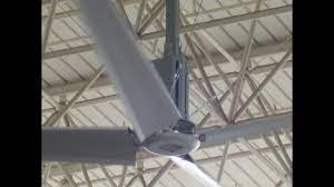 Im a ceiling fan expert, the fastest ceiling fans are like some good brands like hunter and casablancas. Hvls Ceiling Fan Biggest Bad Piggies Fan Ever Youtube