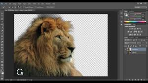 شرح طريقة قص الصور باحترافية شديدة باستخدام الفوتوشوب Youtube Animals Image Lion