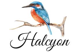 Halcyon Smyrnensis (Linnaeus, 1758) | Species