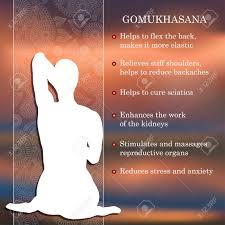 Yoga Pose Infographics Benefits Of Practice Gomukhasana Royalty Free Cliparts Vectors And Stock Illustration Image 60746272