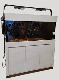 Our aquarium selection is unmatched by anyone in arizona. Second Hand Fish Tank For Sale Aquarium Cabinets Singapore N30 Tank