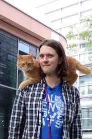 bob the street cat and james bob der streuner beruhmte katzen katzen