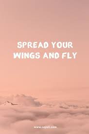 Spread Your Wings And Fly Quotes Zitate Ceyoli Fun Or