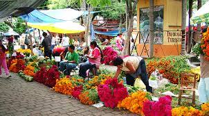 The tepoztlan artisanal market, a collection of tianguis (market stalls), lines the city's streets. Tepoztlan Stepping Mexico