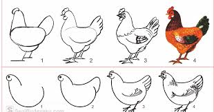 10 Cara Menggambar Ayam Dengan Mudah Seni Budayaku Cara Kriya Cara Mudah Menggambar Binatang Unggas Cara Menggambar Ayam Betina Yo Lukisan Gambar Ilustrasi
