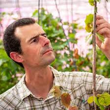 Welcoming our new UDL Fellows: Thorsten Knipfer and Duncan McHugh