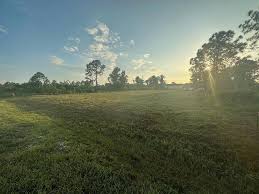 Adam Persaud (@dumpster_hauling_mobility) • Instagram photos and videos