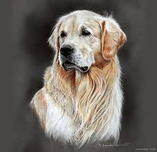 35 Beautiful Dog Drawings And Art Works From Top Artists Dog Paintings Golden Retriever Art Dog Portraits
