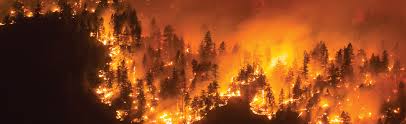 More than 100 wildfires are burning across the. Reduction In Global Area Burned And Wildfire Emissions Since 1930s Enhances Carbon Uptake By Land Science Gc Ca
