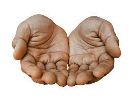 Mains Paume Reception Palm Hand Reference How To Draw Hands Hand Pose