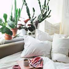 Furthermore, having a feng shui bedroom is vital avoid plants, fishes or other life form in bedroom. Feng Shui Says No Plants In Bedroom