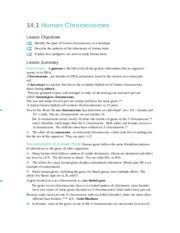Describe the patterns of the inheritance of human traits. 14 1 14 1 Human Chromosomes Lesson Objectives Identify The Types Of Human Chromosomes In A Karotype Describe The Patterns Of The Inheritance Of Human Course Hero