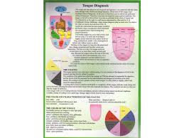 Tongue Diagnosis A4 Chart