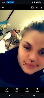 Lost cat Veldora missing in Kannapolis, NC, for 3 days