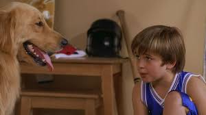 175,837 likes · 44 talking about this. Air Buddies 2006 Directed By Robert Vince Reviews Film Cast Letterboxd