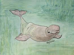 Personalize your car windows with stickers designed by independent artists. Beluga Whale Patsy S Creative Corner