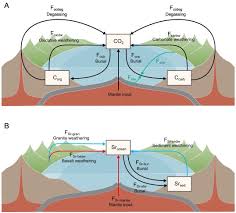 modelling the long term carbon cycle