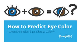 When Do Babies Eyes Change Color Will They Stay Blue
