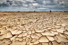 Resultado de imagen de cambio climatico