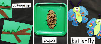 Download Butterfly Life Cycle Bulletin Board Fun365