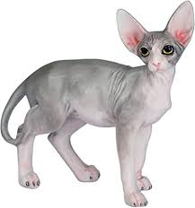Amazing animal facts 2021, kann. Amazon De Willis Judd Sphynx Katze Freistehend Handbemalt 10 9 Cm