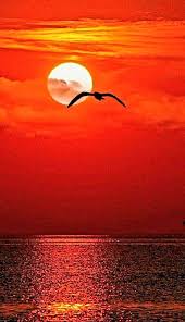 armando amor et psyche on twitter in 2021 beautiful nature pictures beautiful nature wallpaper sunset photography