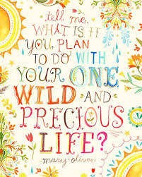 Wild and Precious Life | Mary Oliver | Words, Inspirational words ...