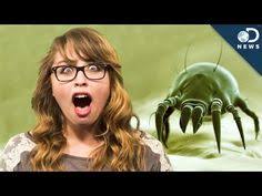 This type of symbiosis is probably one of the most common and it can be seen in humans, animals, insects and even plants. 32 Symbiotic Relationships Ideas Symbiotic Relationships Symbiosis Mutualism