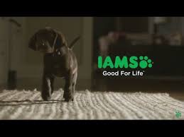 A long life with iams commercial with casey Roasted Cauliflower With Bacon And Garlic Steamy Kitchen Recipes Iams Iams Dog Food Dogs