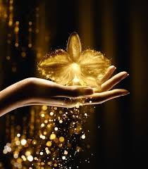 Soon On The Beauty Cove The Impressive Power Of A Gold Orchid Guerlain And Orchidee Imperial T Fairytale Photography Angel Pictures Profile Picture For Girls