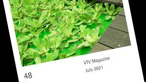 Over a conversation for modern matter, the two sculptors sit down together to discuss material processes, mediums and. Vernissagetv Magazine No 48 What S The Matter Vernissagetv Art Tv