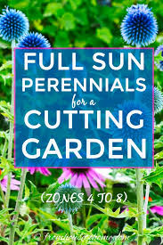 Choose from our full list of flowers, vines, grasses and shrubs to create a beautiful perennial garden. Full Sun Perennials Zone 4 Idioticfashion