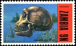 Broken hill rhodesian man new insight into an old skull. Stamp Broken Hill Man Zambia Fossils Mi Zm 98 Sn Zm 95 Yt Zm 94 Sg Zm 186