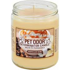 Pet odor eliminator candles caramel vanilla latte. Specialty Pet Products Caramel Vanilla Latte Pet Odor Exterminator 13 Ounce Jar Candle