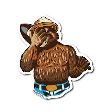 Image result for facepalm