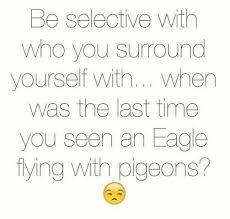 Meaningful Birds Of A Feather Flock Together Quotes Motivation Fun Gunn Kari Lia Kristensen Facebook Daily Quotes Positive Together Quotes Feather Quotes