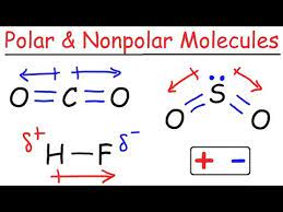However, if the molecule is asymmetric, the bond dipole moments won't cancel out and the molecule will have a net dipole moment and the molecule is therefore polar. Students Com