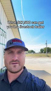 27,500 in stock and ready to roll 419-394-4408, #wilson #livestock #cattle  #farmtok #agtok #farmer